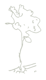 Dibujo de un árbol, símbolo de la Nueva Arquitectura Mediterránea de Farfán Estudio