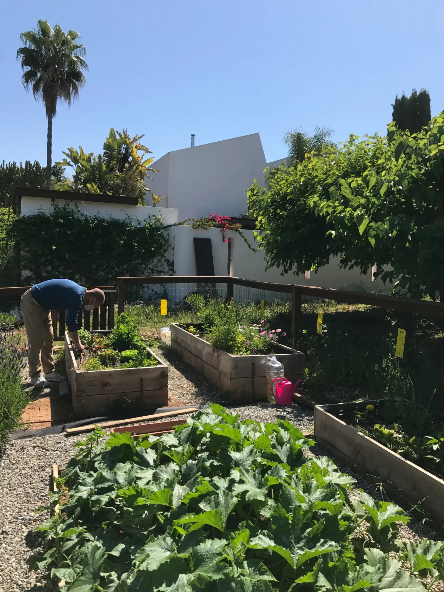 Jardín de la casa bio-pasiva de Alhaurín de la Torre