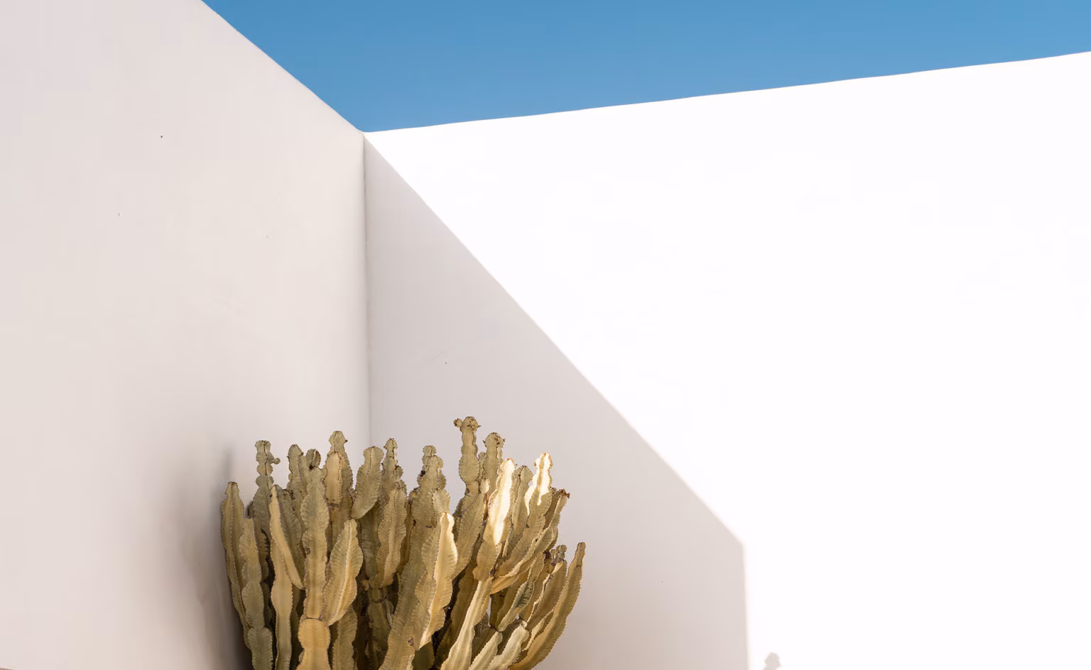Muros blancos y cactus en una casa ecológica de Farfán Estudio